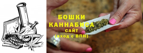 PSILOCYBIN Майский