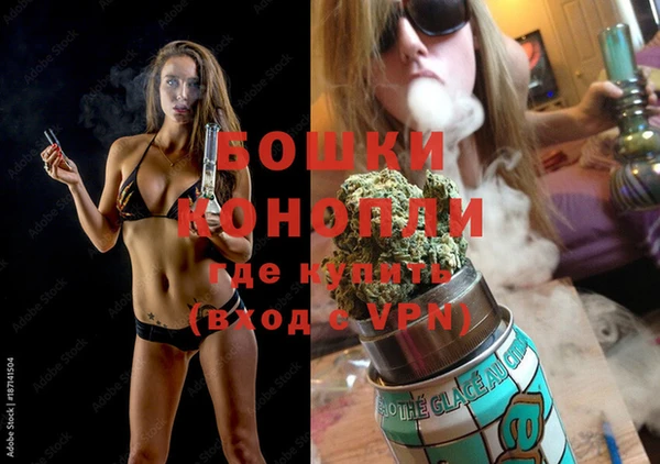 дживик Лихославль