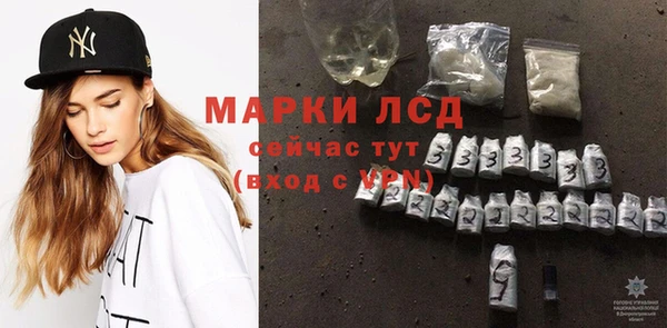 PSILOCYBIN Майский