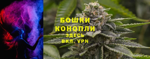 PSILOCYBIN Майский