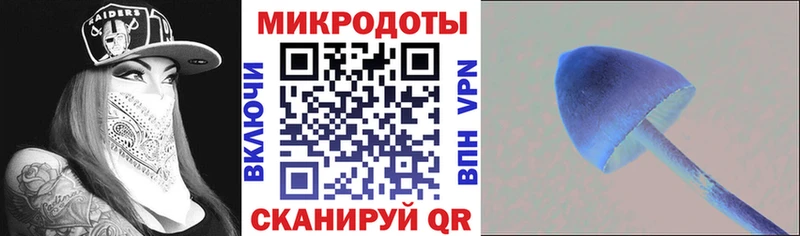 купить  сайты  Стародуб  Галлюциногенные грибы ЛСД 